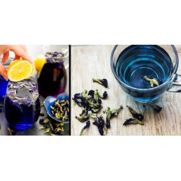 Niebieska herbata Niebiańska Klitoria Premium 19,50 zł